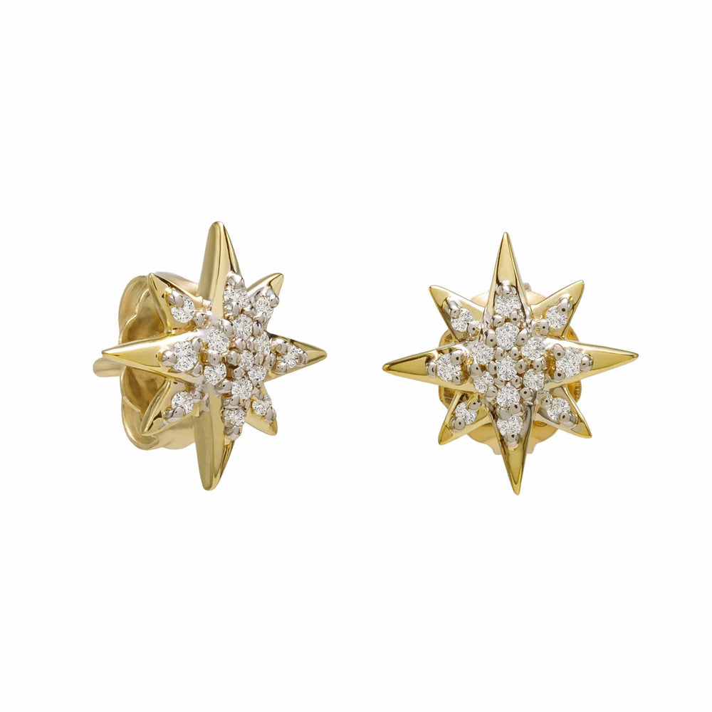 Dalia T Online Earing 0.06 / Yellow Gold Delicate Collection 14KT White Gold Diamond Star Stud Earrings