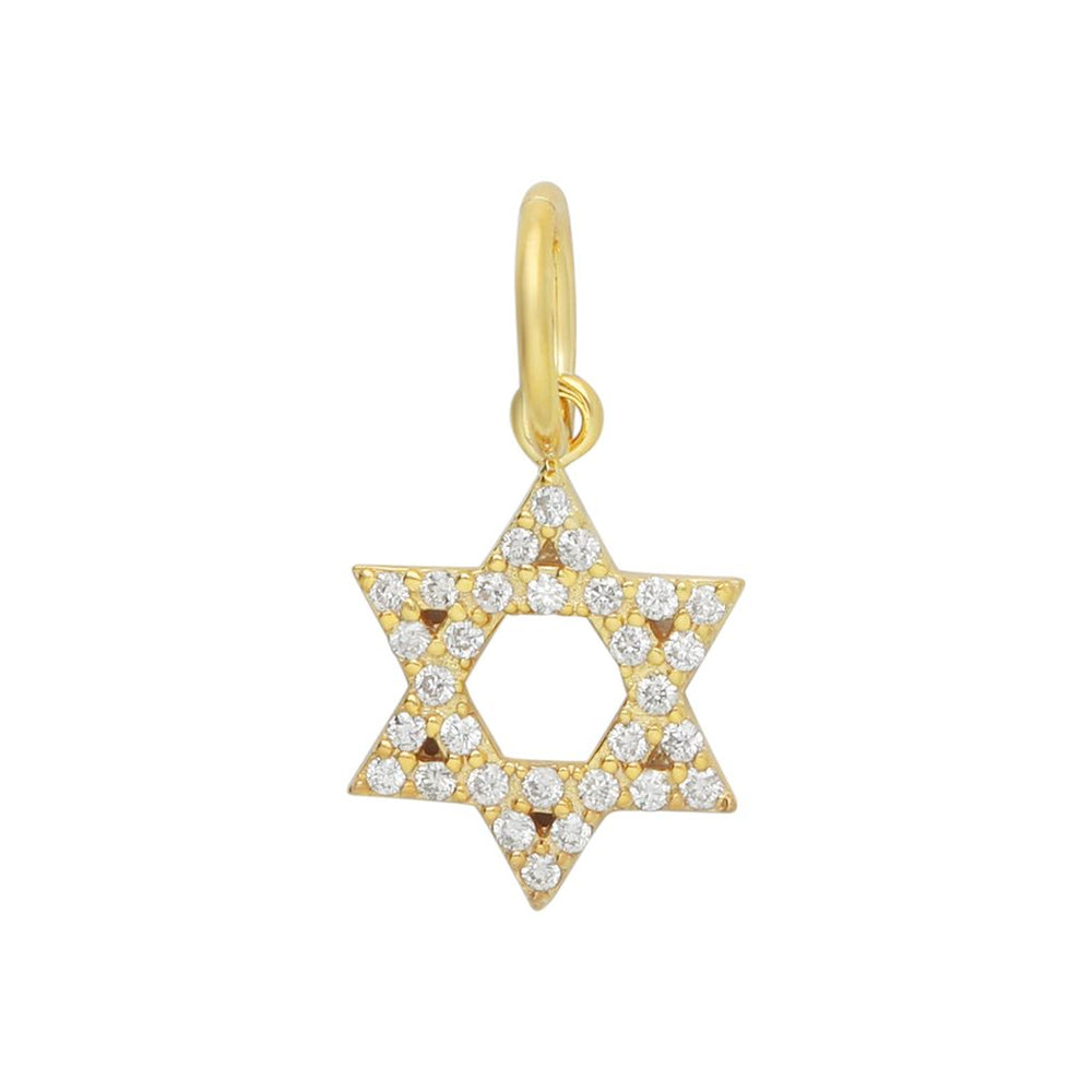 14 KT Gold and Diamonds Open Star of David charm