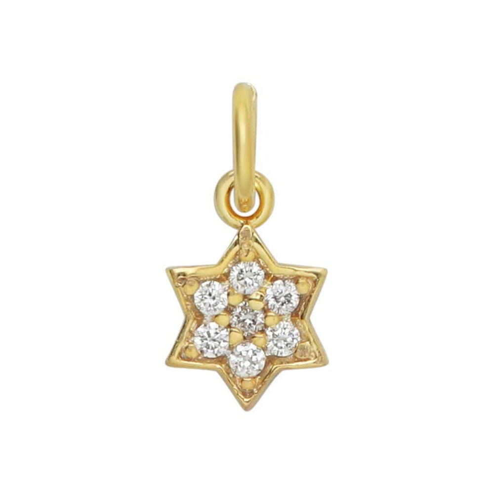 
                  
                    Dalia T Online 18 KT Gold Plated and Diamonds Star of David charm
                  
                