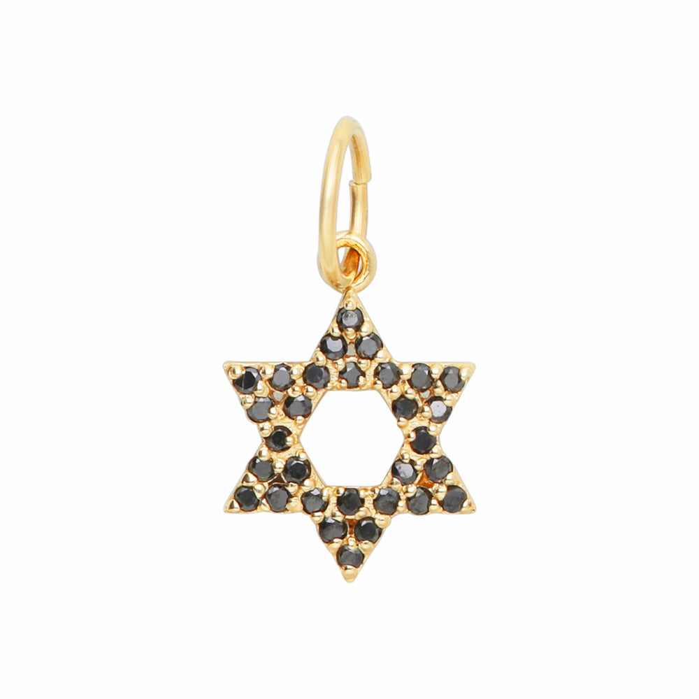 Dalia T Online 14 KT Gold Black Diamonds Star of David charm