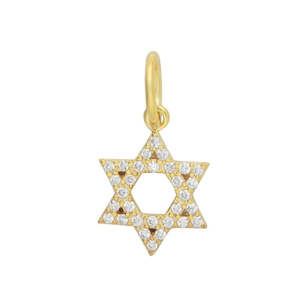 Dalia T Online Charms 14KT Gold 14 KT Gold and Diamonds Open Star of David charm